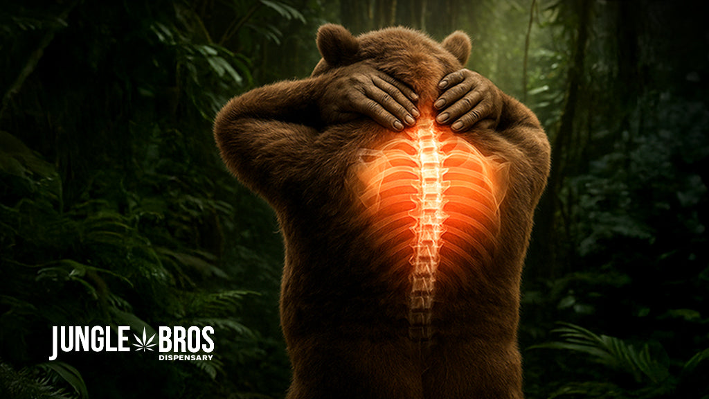 Desde el Dispensario: Cannabis y Comestibles para el Dolor Crónico